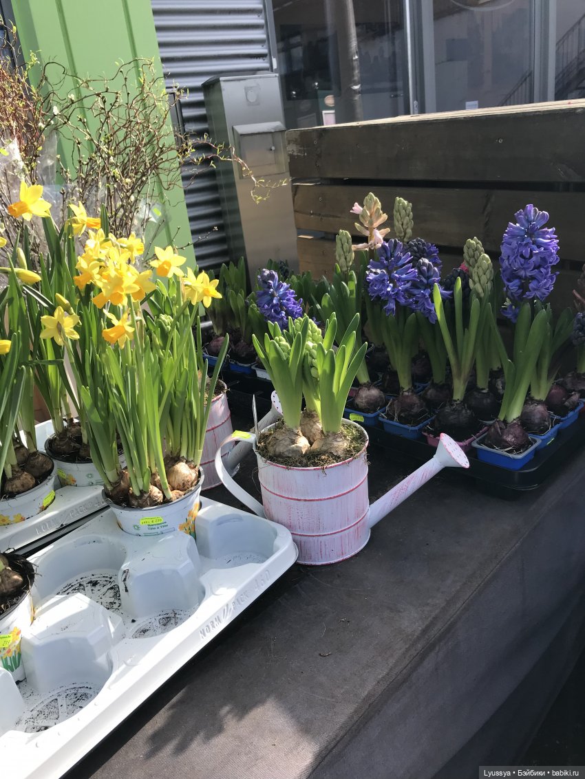 Весна — Игровые куклы Zwergnase (Цвергназе) Junior: Джуниор (фото 8)