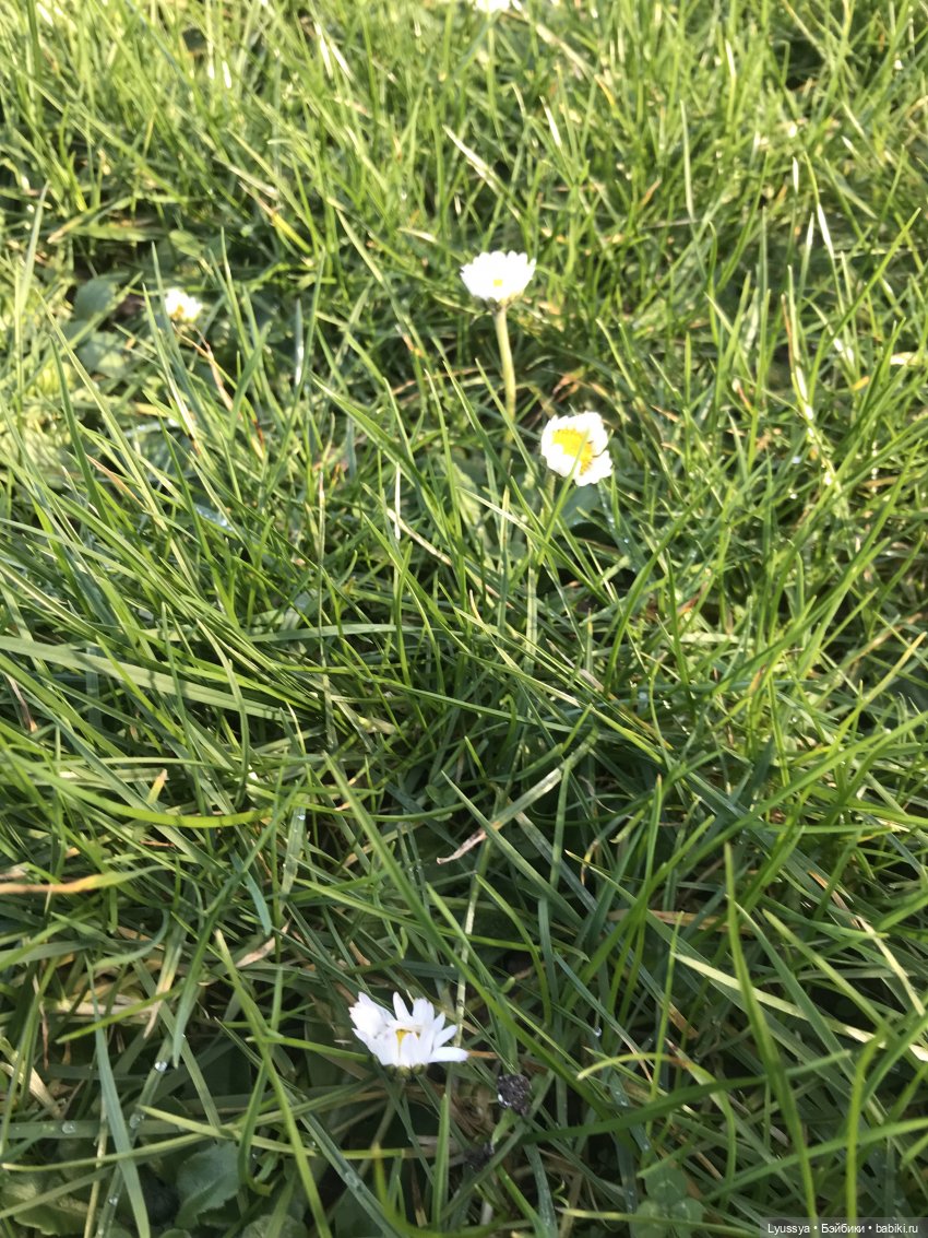 Весна — Игровые куклы Zwergnase (Цвергназе) Junior: Джуниор (фото 10)