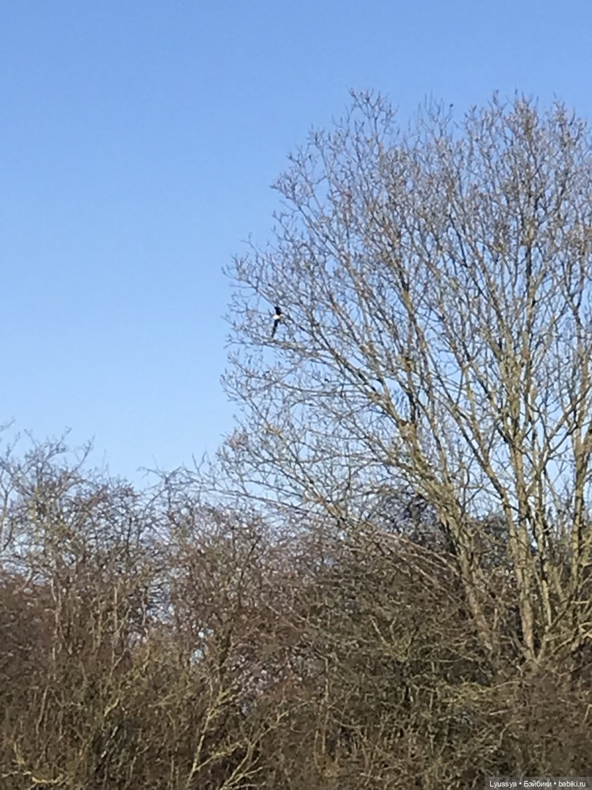 Весна — Игровые куклы Zwergnase (Цвергназе) Junior: Джуниор (фото 6)