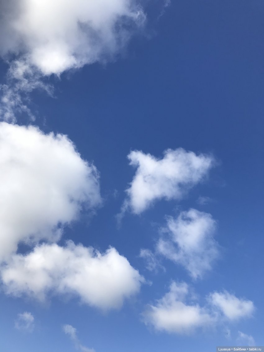 Весна — Игровые куклы Zwergnase (Цвергназе) Junior: Джуниор