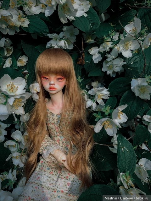 Лулу и Люси — Куклы DIM (Doll in Mind): корейские BJD (БЖД) (фото 4)