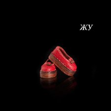 Туфельки для Жу (автор куклы Дарья Нужнова)