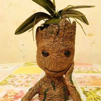 Мастер-класс. Малыш Грут-вазонница, карандашница.