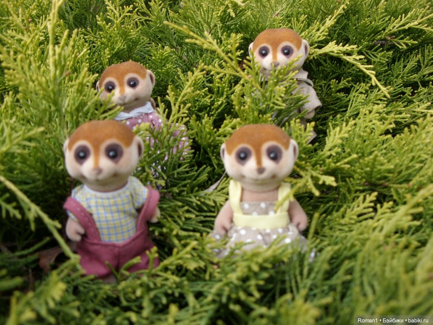 Загородная поездка Сильванчиков