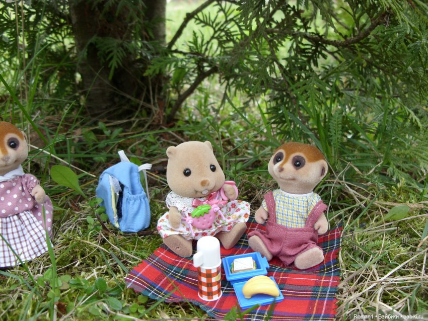 Загородная поездка Сильванчиков