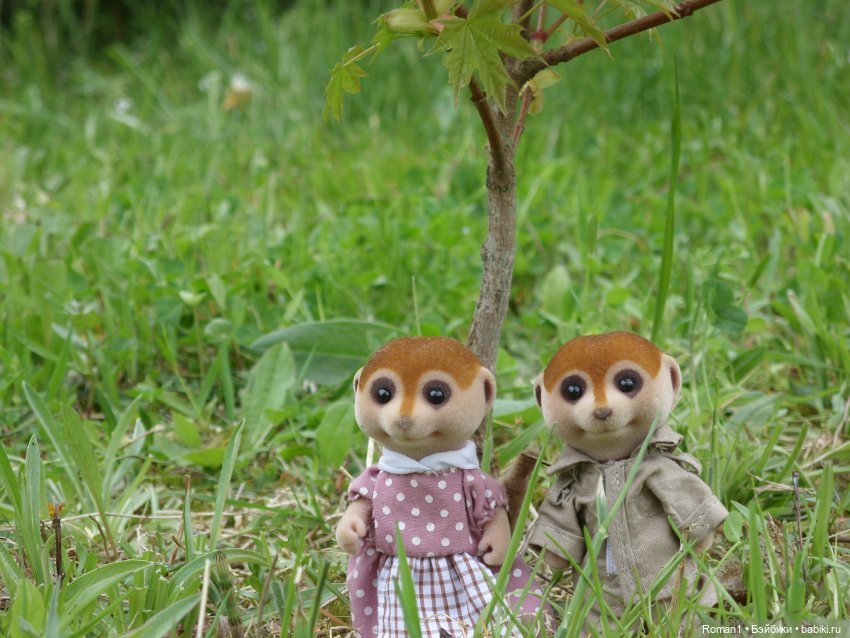 Загородная поездка Сильванчиков