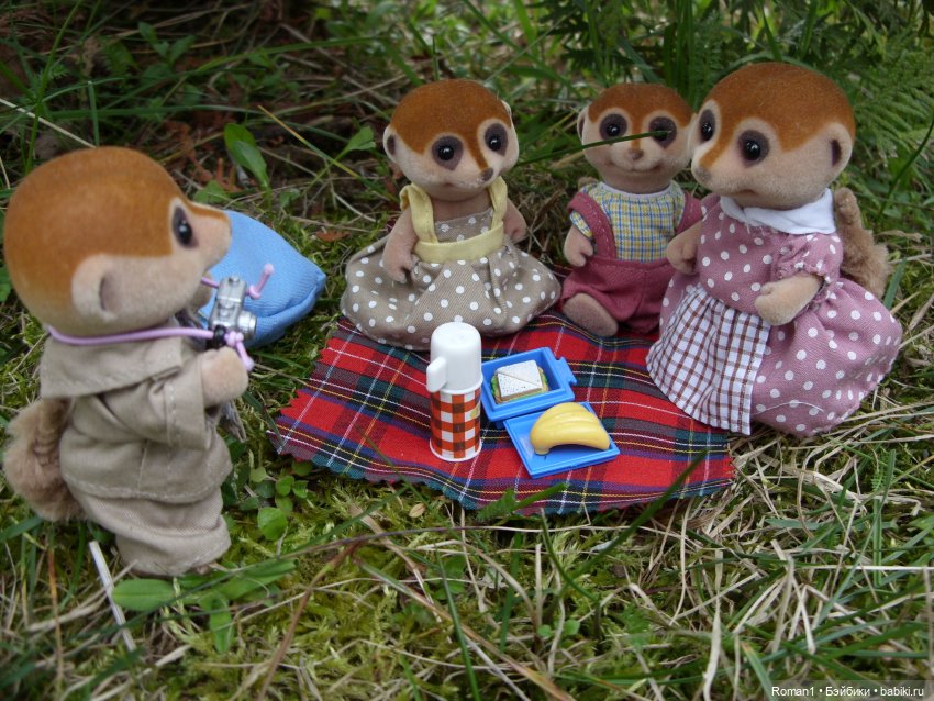 Загородная поездка Сильванчиков