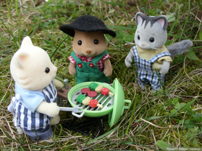 Загородная поездка Сильванчиков