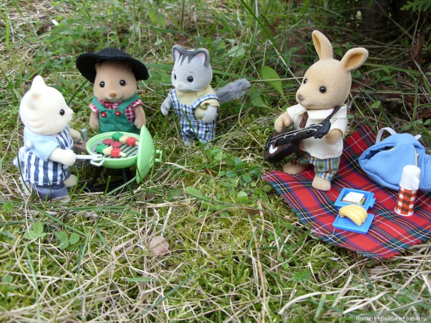 Загородная поездка Сильванчиков