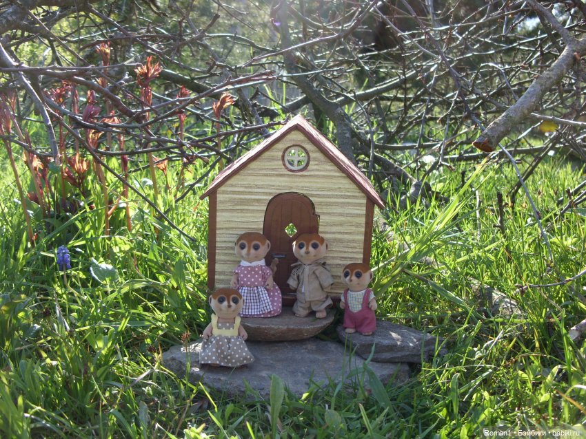 Загородная поездка Сильванчиков