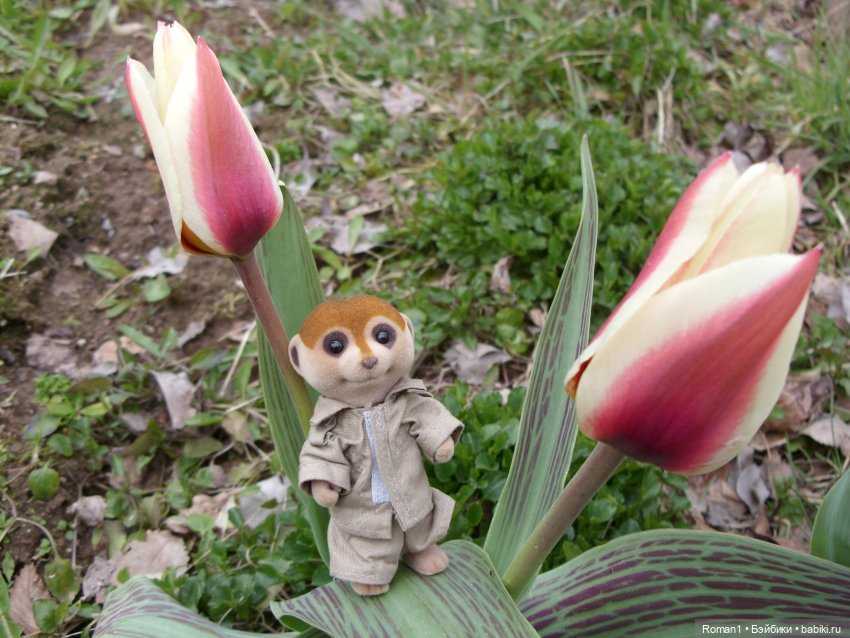 Загородная поездка Сильванчиков