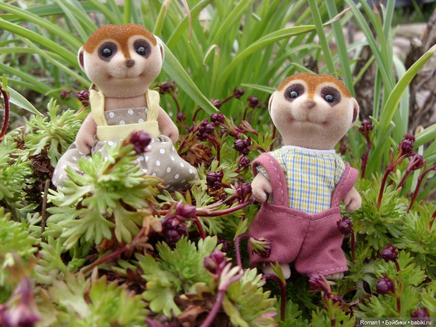 Загородная поездка Сильванчиков