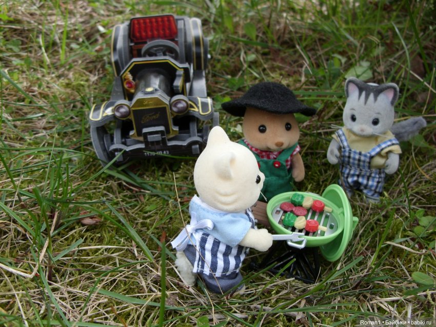 Загородная поездка Сильванчиков