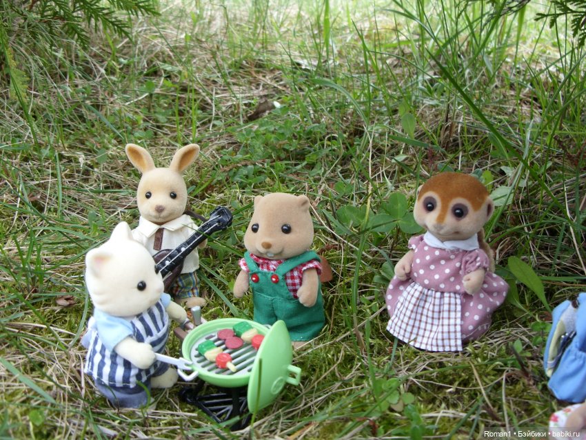 Загородная поездка Сильванчиков