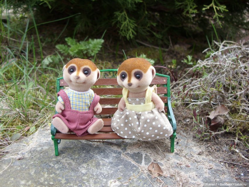 Загородная поездка Сильванчиков