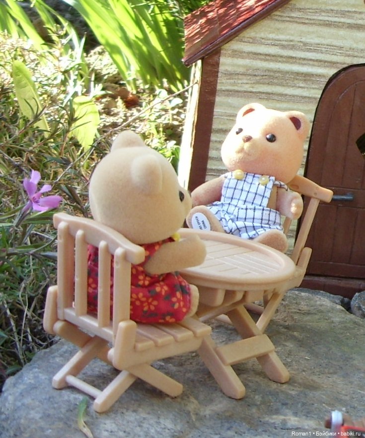 Загородная поездка Сильванчиков (фото 8)