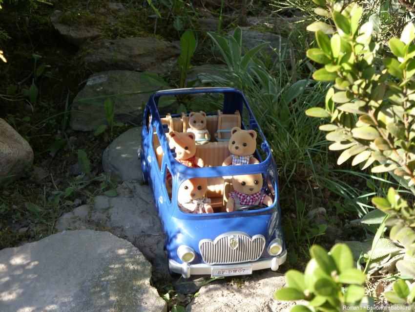 Загородная поездка Сильванчиков (фото 2)