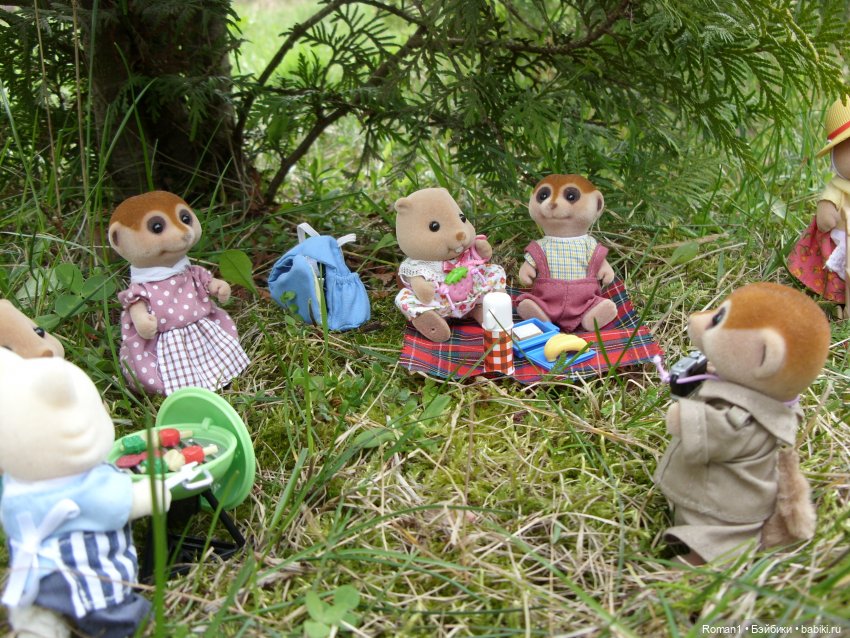 Загородная поездка Сильванчиков