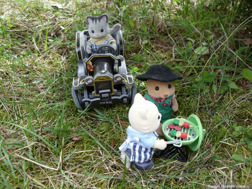 Загородная поездка Сильванчиков