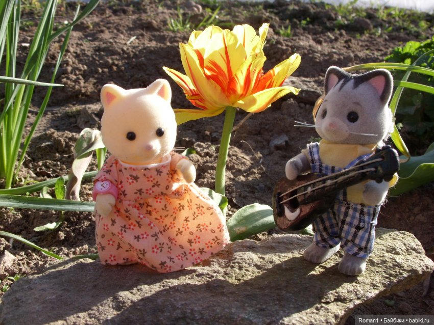 Загородная поездка Сильванчиков