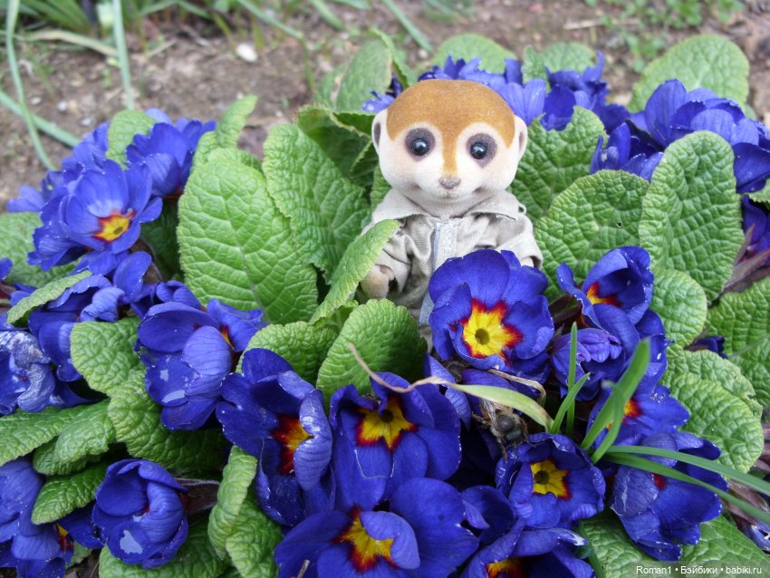 Загородная поездка Сильванчиков