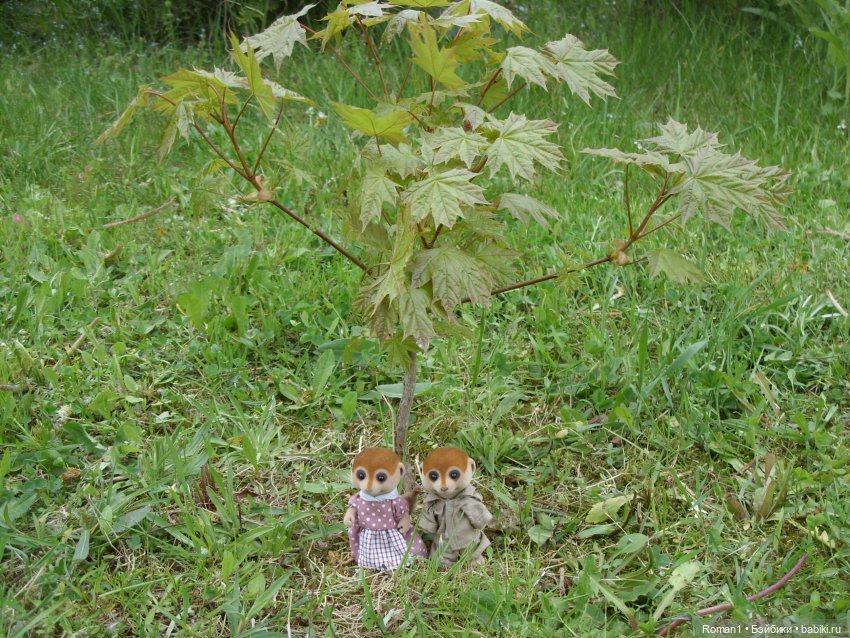 Загородная поездка Сильванчиков