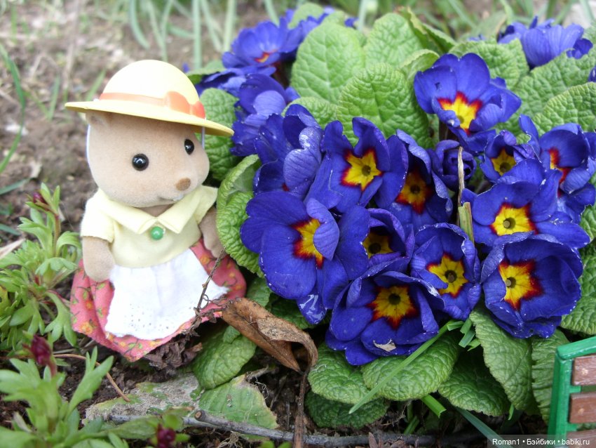 Загородная поездка Сильванчиков