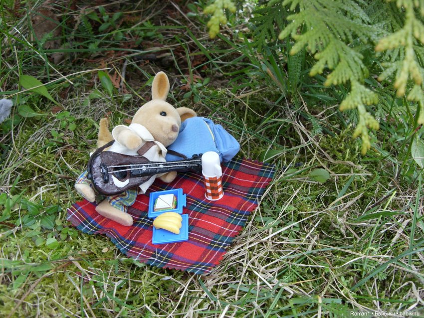 Загородная поездка Сильванчиков