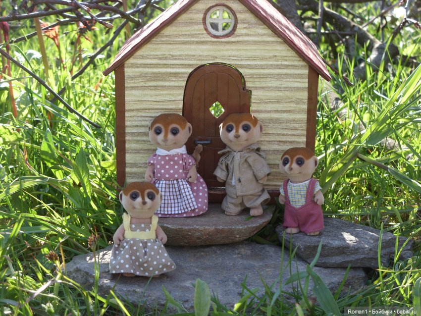 Загородная поездка Сильванчиков