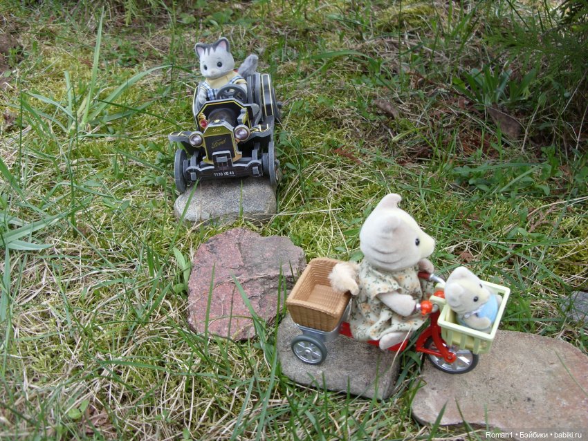 Загородная поездка Сильванчиков