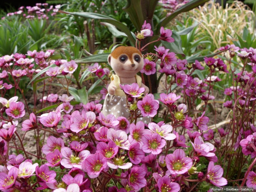 Загородная поездка Сильванчиков