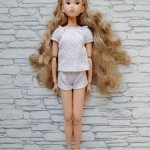 Kуклa Момоко Todаy’s Моmokо 1710