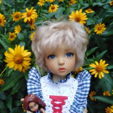 История одной девочки или сказка о гадком утенке. Iplehouse Naias