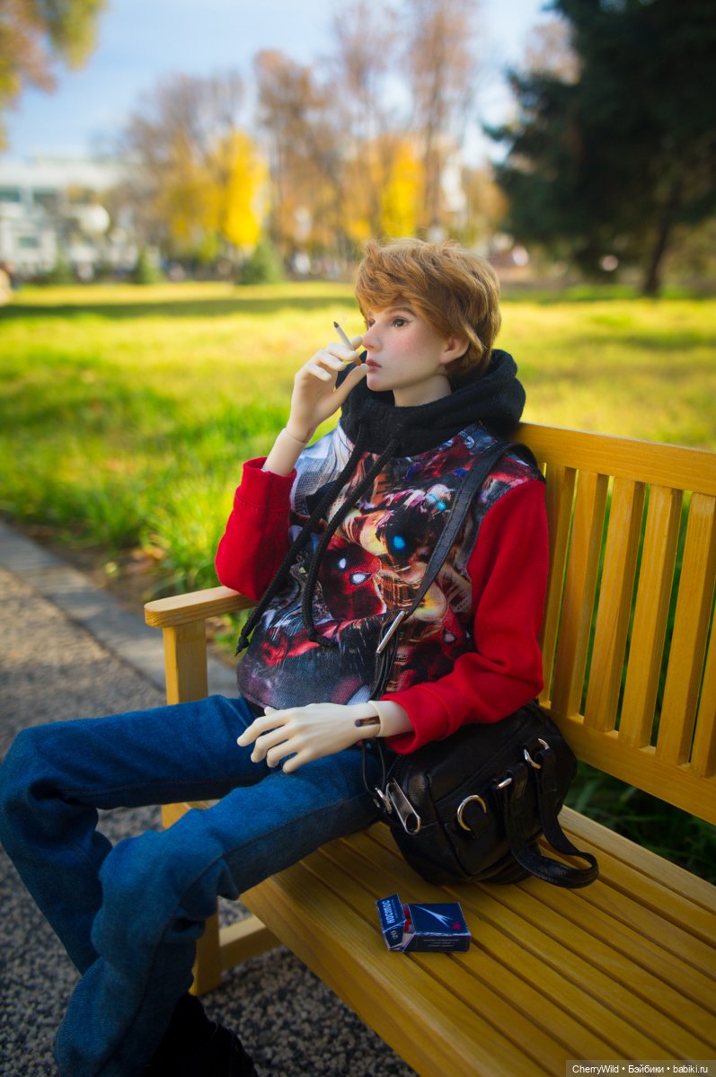 Он приехал — Куклы Dollshe Craft (Доллше): BJD (БЖД)