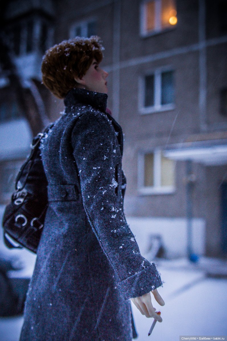 Он приехал — Куклы Dollshe Craft (Доллше): BJD (БЖД) (фото 7)