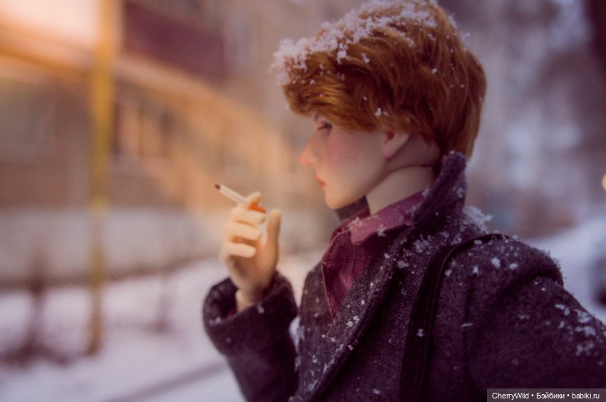 Он приехал — Куклы Dollshe Craft (Доллше): BJD (БЖД) (фото 8)