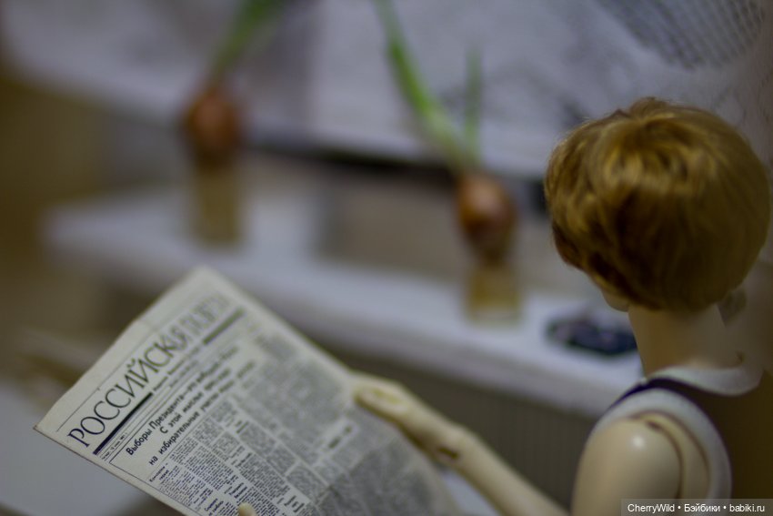 Он приехал — Куклы Dollshe Craft (Доллше): BJD (БЖД)