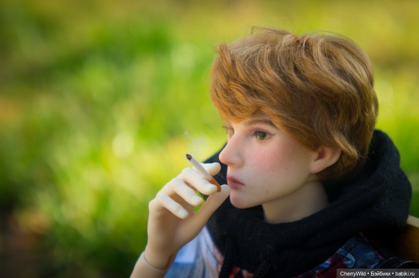 Он приехал — Куклы Dollshe Craft (Доллше): BJD (БЖД)