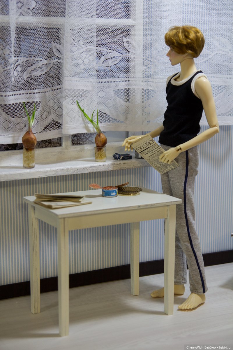 Он приехал — Куклы Dollshe Craft (Доллше): BJD (БЖД)