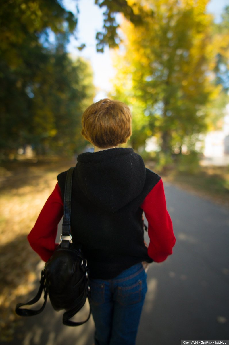 Он приехал — Куклы Dollshe Craft (Доллше): BJD (БЖД)