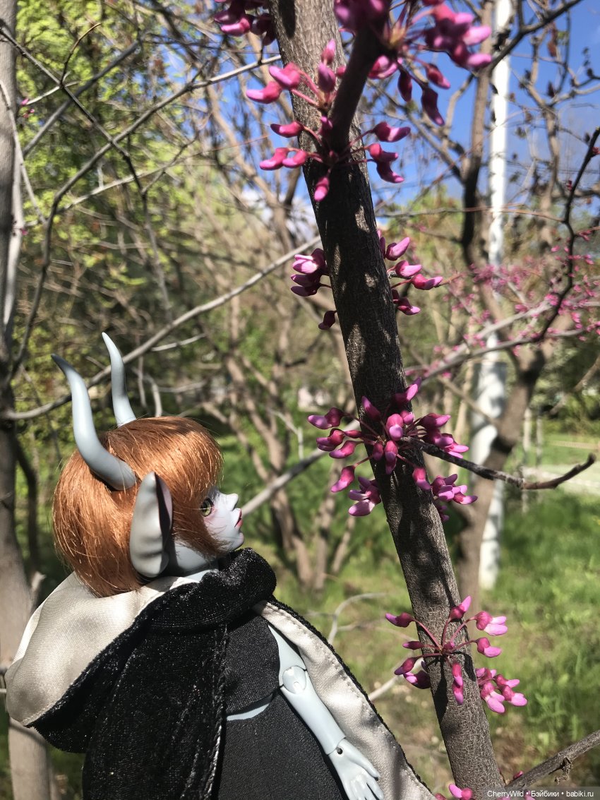 Музыка весны — Болталка и разговоры обо всем: жизнь (фото 4)