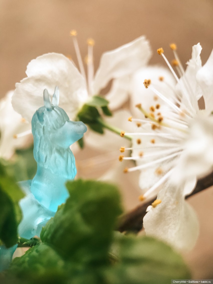 Музыка весны — Болталка и разговоры обо всем: жизнь (фото 7)