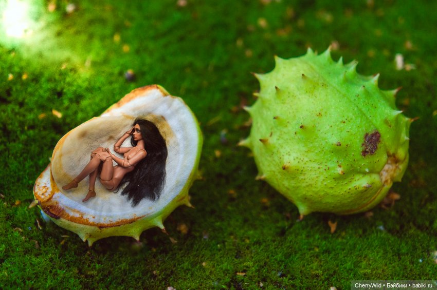 Фея поздней осени | Бэйбики Фея поздней осени — Авторские куклы BJD (БЖД) у нас дома: фото