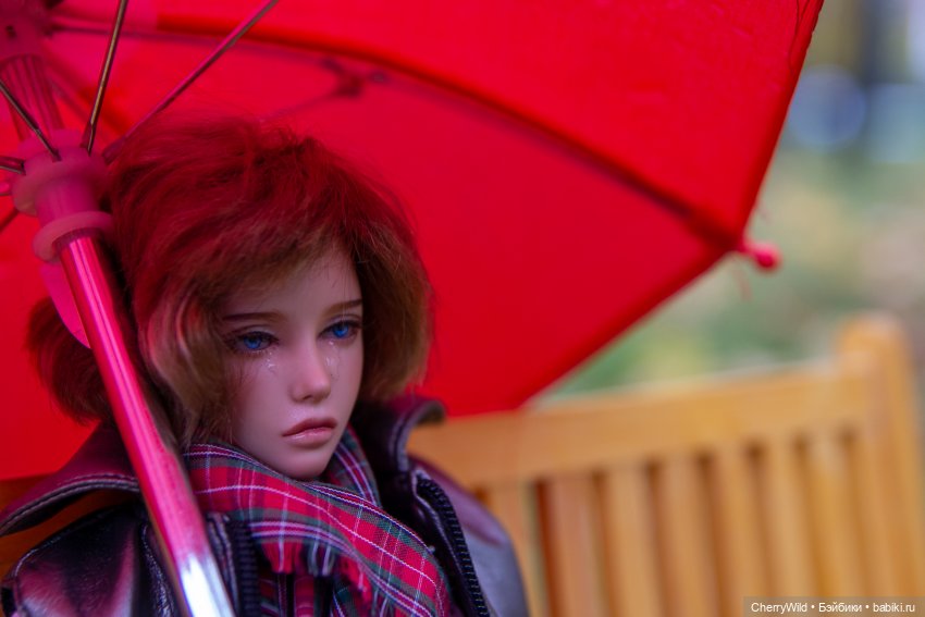 Дождь. Ноябрьское, с горькими нотками (фото 6)