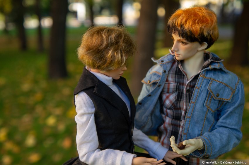 Дождь. Ноябрьское, с горькими нотками (фото 3)