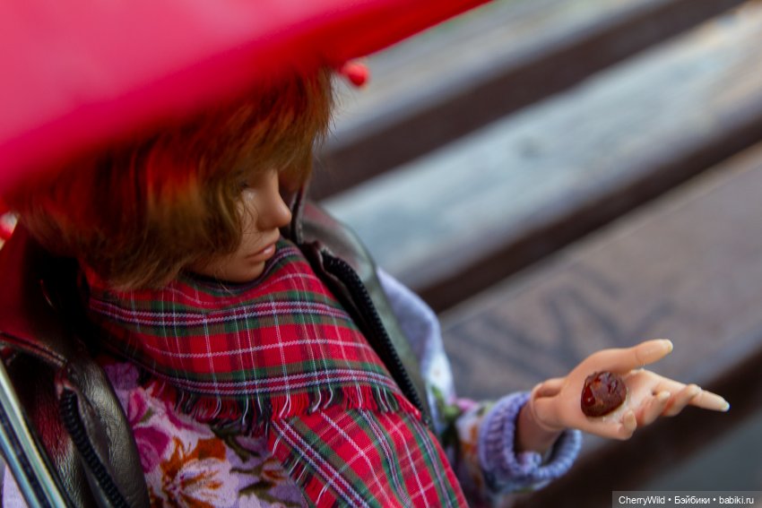 Дождь. Ноябрьское, с горькими нотками