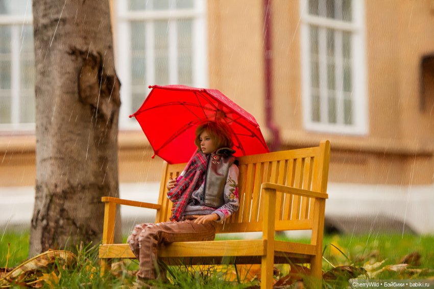 Дождь. Ноябрьское, с горькими нотками