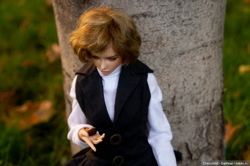 Дождь. Ноябрьское, с горькими нотками (фото 7)