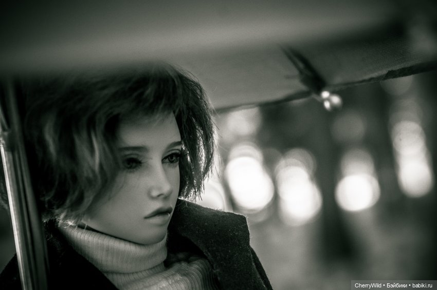 Дождь. Ноябрьское, с горькими нотками (фото 8)