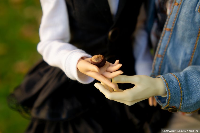 Дождь. Ноябрьское, с горькими нотками (фото 4)